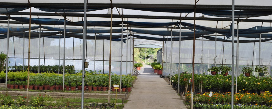 vivero 2012 266