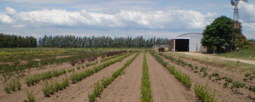 Panoramica Galeria